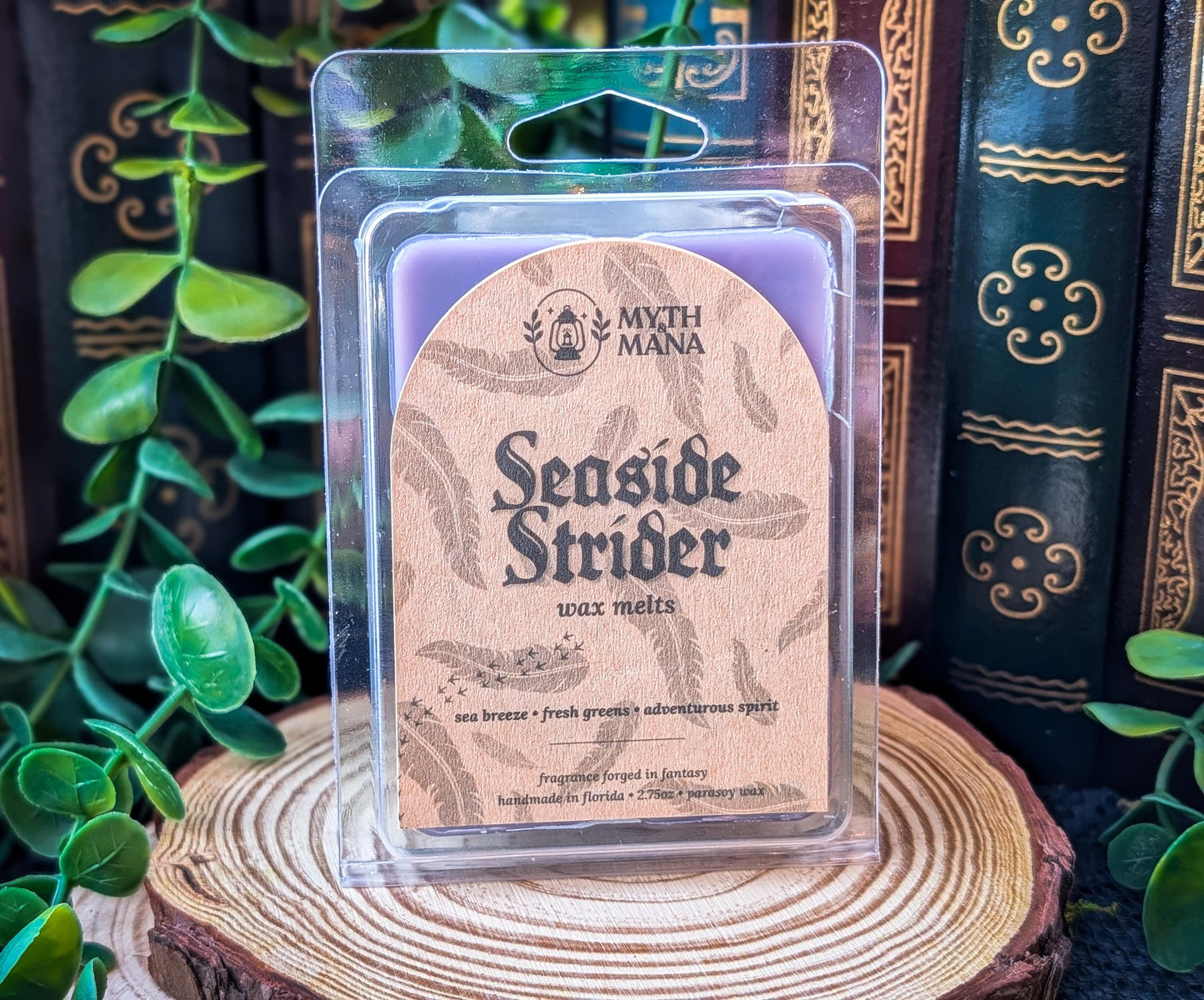 Seaside Strider Wax Melts