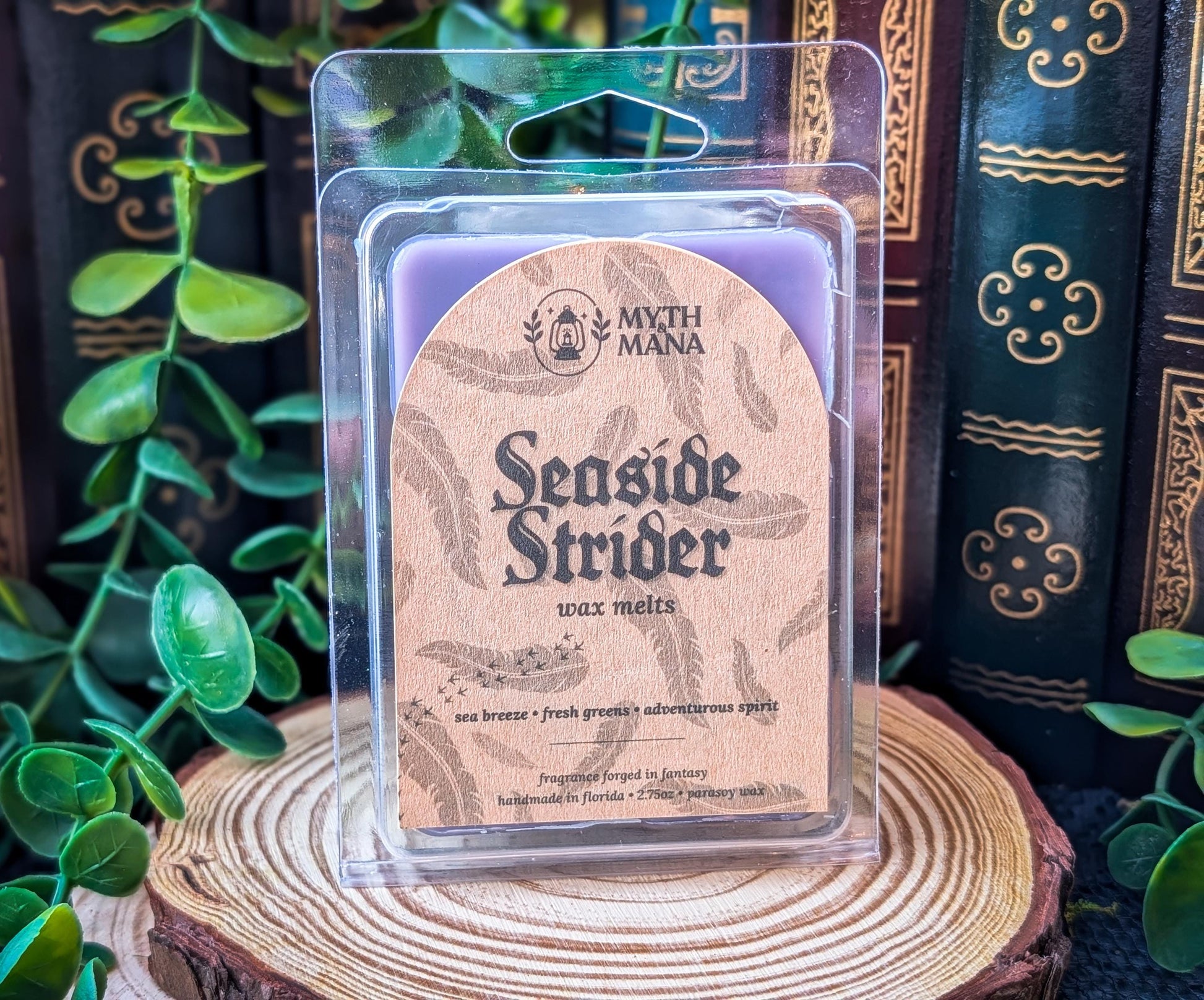 Seaside Strider Wax Melts